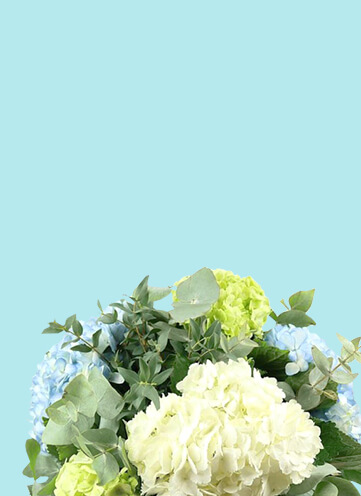 Same day Flowers Blackwall